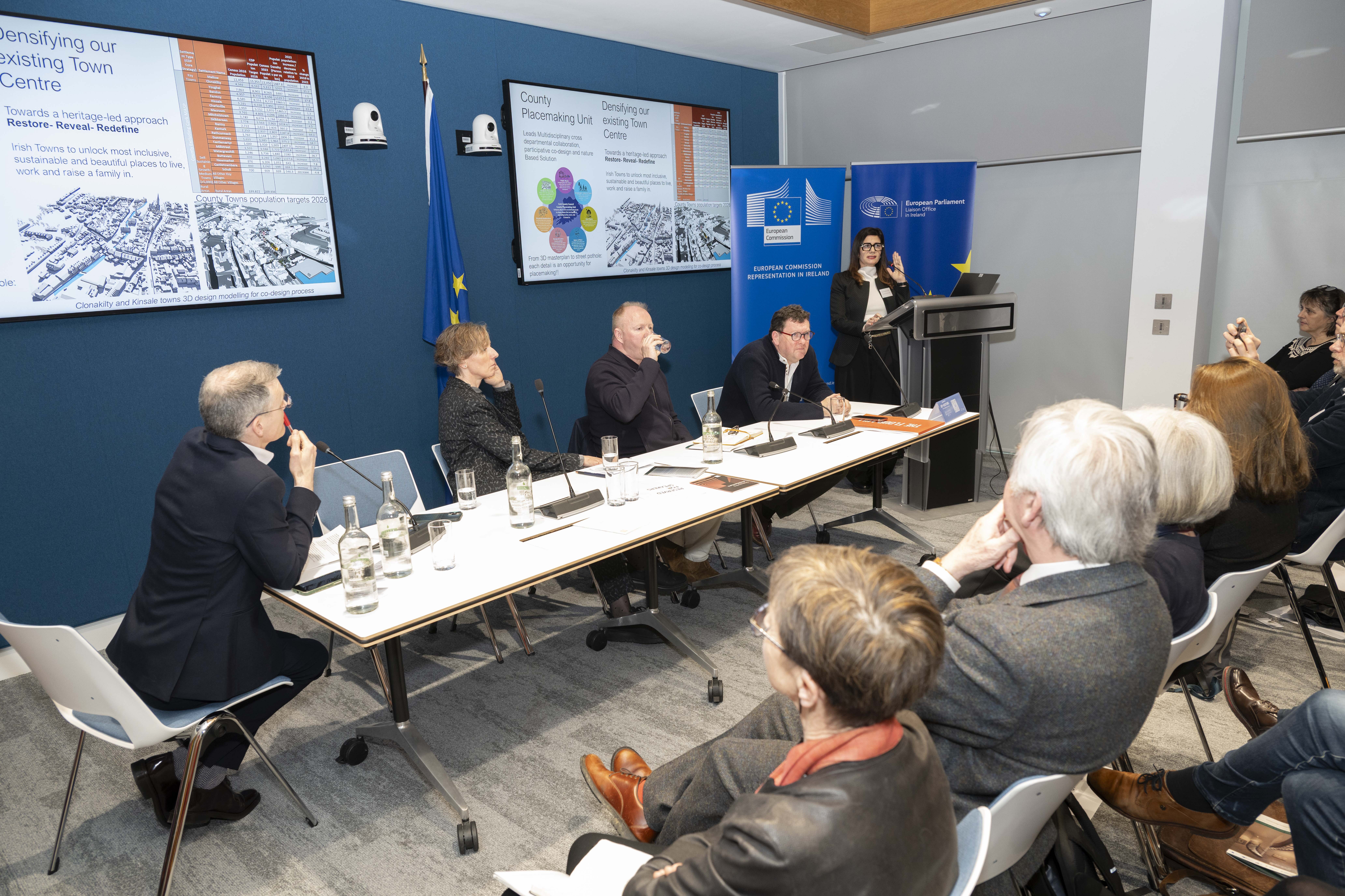 Giulia Vallone, Cork County and RIAI Urban Design Committee