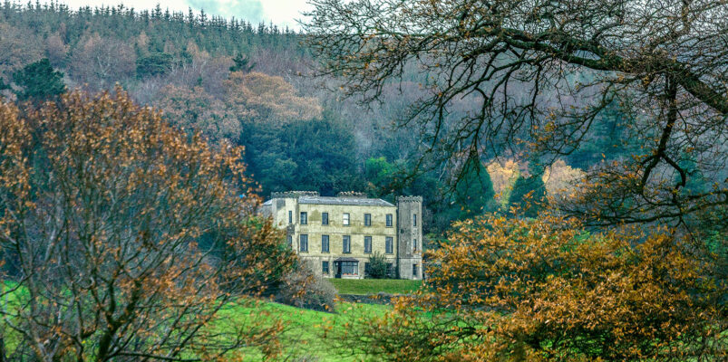 House Tour with Lunch at Altidore Castle, Co Wicklow