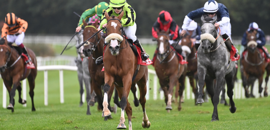 20 9 25 Great Mover Gowran