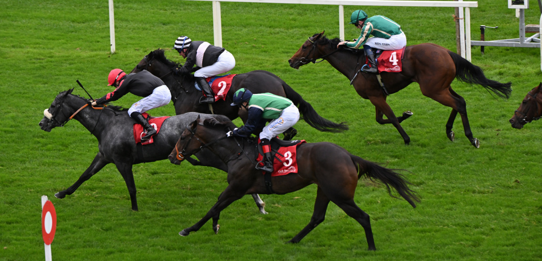 30 9 25 Winters Breath Cork