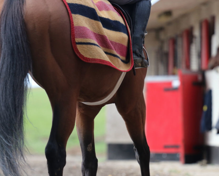 Performance Review Pic April 2019 Resized